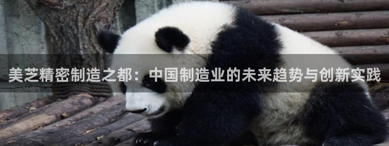 彩神v8是一个什么平台：美芝精密制造之都：中国制造业的未来趋势与创新实践