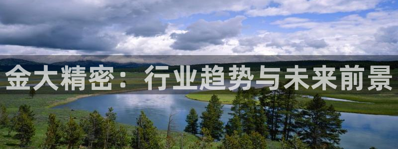 彩神到底能不能赚钱：金大精密：行业趋势与未来前景