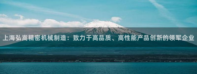 彩神8彩平台客服：上海弘嵩精密机械制造：致力于高品质、高性能产品创新的领军企业