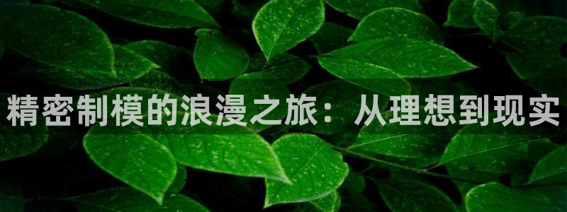 彩神x平台靠什么盈利：精密制模的浪漫之旅：从理想到现实