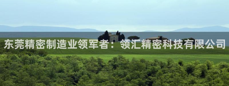 大发彩神争：东莞精密制造业领军者：领汇精密科技有限公司