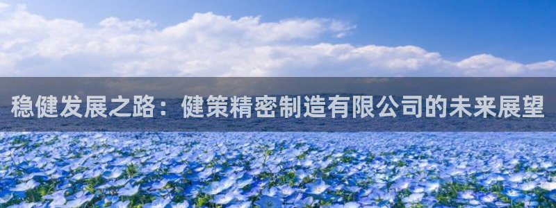 彩神v8下载网址：稳健发展之路：健策精密制造有限公司的未来展望