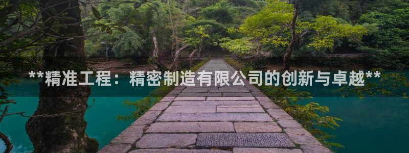 彩神怎么样可以提现：**精准工程：精密制造有限公司的创新与卓越**