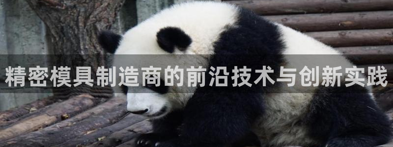 彩神vll趣投彩：精密模具制造商的前沿技术与创新实践