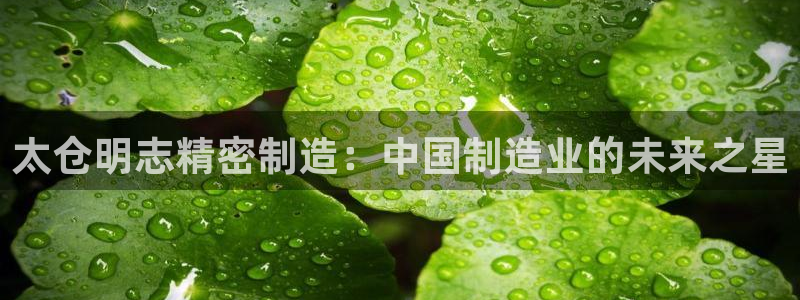 彩神v8是真的挣钱吗安全吗：太仓明志精密制造：中国制造业的未来之星