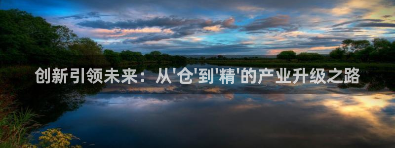 彩神vii手游下载：创新引领未来：从\'仓\'到\'精\'的产业升级之路