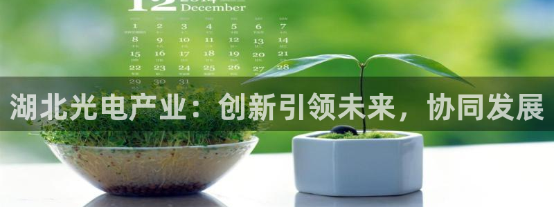 天天赢彩神：湖北光电产业：创新引领未来，协同发展