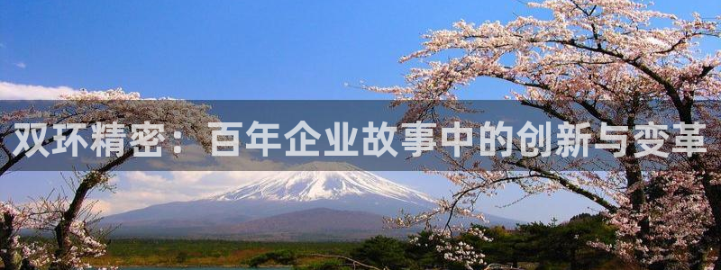 彩神v8平台正规吗：双环精密：百年企业故事中的创新与变革