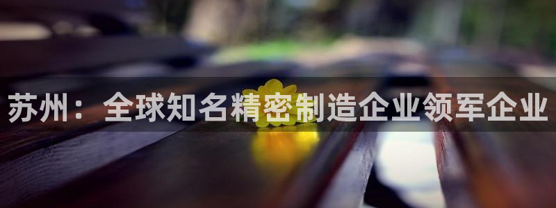 彩神官方邀请码是多少：苏州：全球知名精密制造企业领军企业