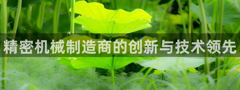 彩神旗下有哪些平台可以玩：精密机械制造商的创新与技术领先