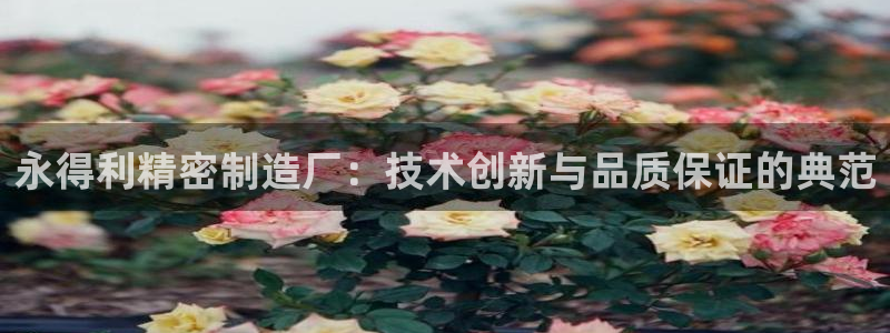 彩神8官网合法吗：永得利精密制造厂：技术创新与品质保证的典范